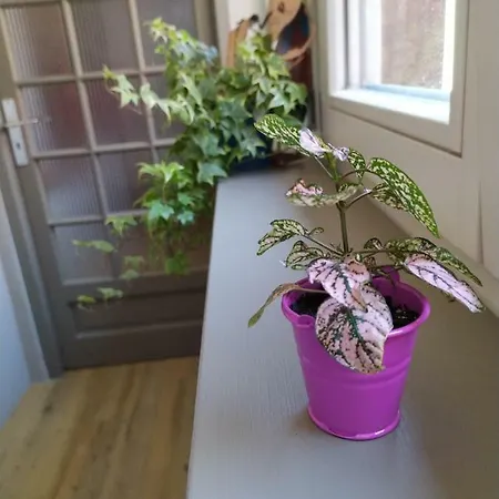 La Grande Terrine - Les Potiers Kaysersberg-Vignoble