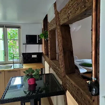 La Grande Terrine - Les Potiers Appartement Kaysersberg-Vignoble