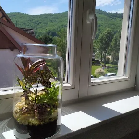 Appartement La Grande Terrine - Les Potiers *