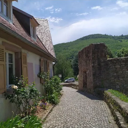 La Grande Terrine - Les Potiers Kaysersberg-Vignoble