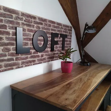 La Grande Terrine - Les Potiers Appartement Kaysersberg-Vignoble