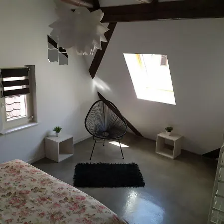 Appartement La Grande Terrine - Les Potiers Kaysersberg-Vignoble