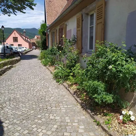 La Grande Terrine - Les Potiers *