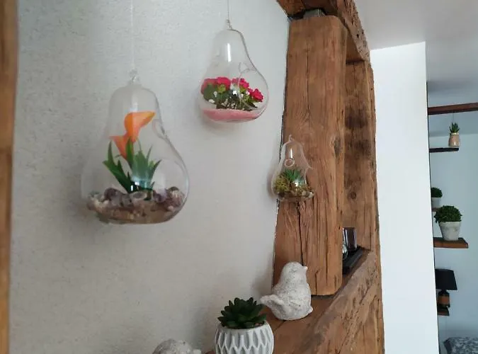 Appartement La Grande Terrine - Les Potiers