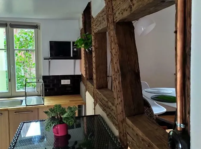 La Grande Terrine - Les Potiers Appartement Kaysersberg-Vignoble