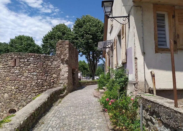 La Grande Terrine - Les Potiers Kaysersberg-Vignoble