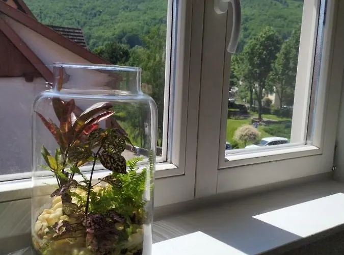 Appartement La Grande Terrine - Les Potiers *