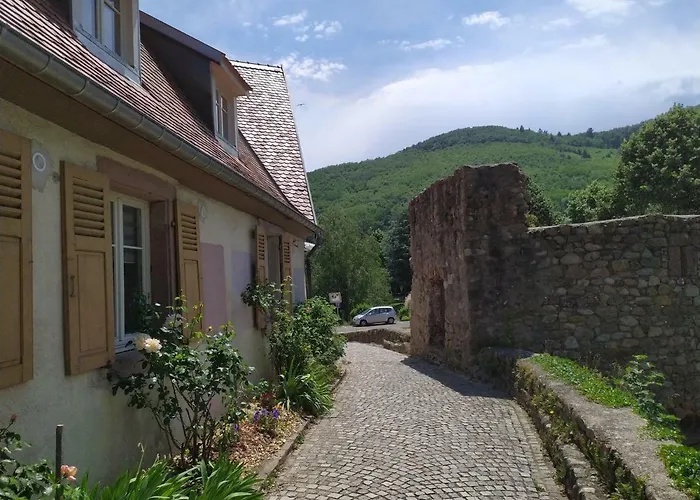 La Grande Terrine - Les Potiers Kaysersberg-Vignoble