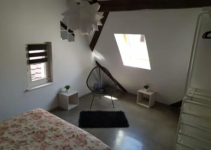 Appartement La Grande Terrine - Les Potiers Kaysersberg-Vignoble