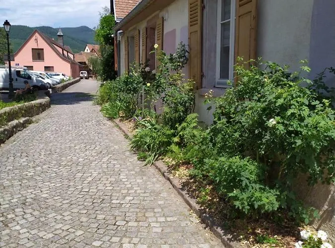 La Grande Terrine - Les Potiers *